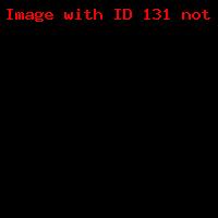 Sorry, you have not enough rights to view this image.